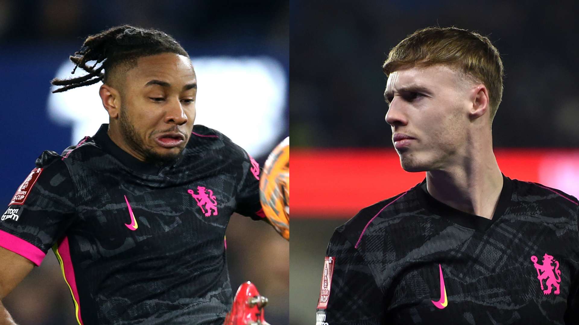 了职业生涯 了职业生涯